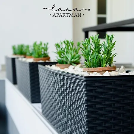 Apartman Lana *